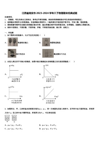 江西省高安市2023-2024学年八下物理期末经典试题含解析.doc