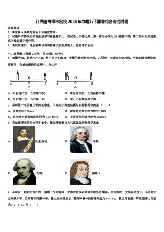 江西省鹰潭市名校2024年物理八下期末综合测试试题含解析.doc