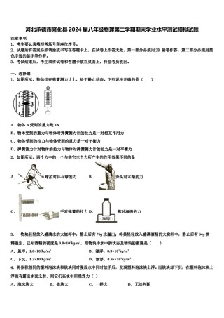 河北承德市隆化县2024届八年级物理第二学期期末学业水平测试模拟试题含解析.doc