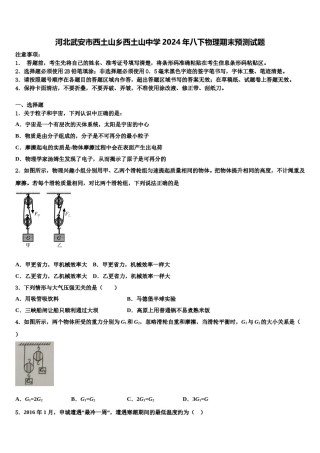 河北武安市西土山乡西土山中学2024年八下物理期末预测试题含解析.doc
