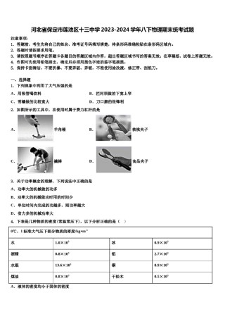 河北省保定市莲池区十三中学2023-2024学年八下物理期末统考试题含解析.doc