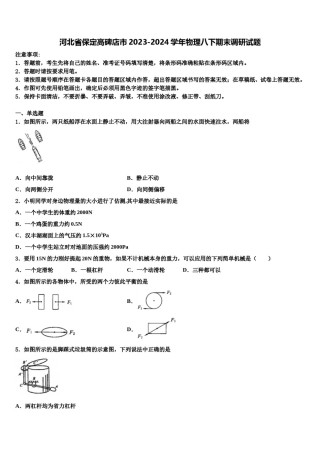 河北省保定高碑店市2023-2024学年物理八下期末调研试题含解析.doc