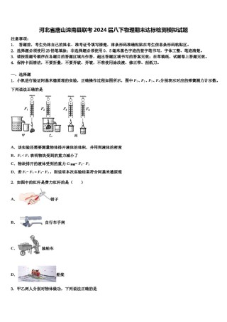 河北省唐山滦南县联考2024届八下物理期末达标检测模拟试题含解析.doc