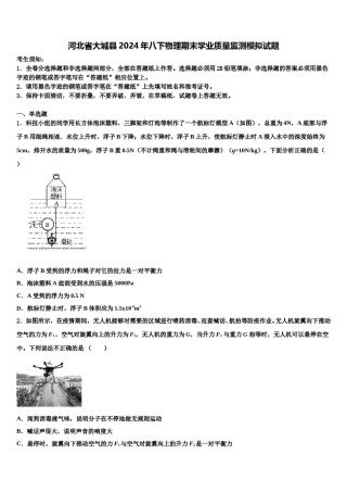 河北省大城县2024年八下物理期末学业质量监测模拟试题含解析.doc