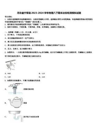 河北省宁晋县2023-2024学年物理八下期末达标检测模拟试题含解析.doc