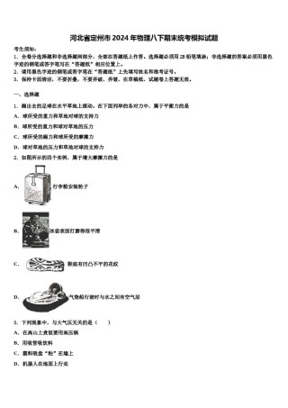 河北省定州市2024年物理八下期末统考模拟试题含解析.doc