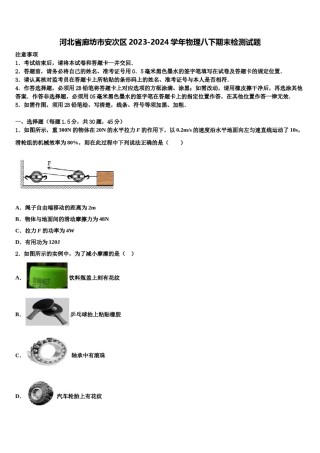 河北省廊坊市安次区2023-2024学年物理八下期末检测试题含解析.doc