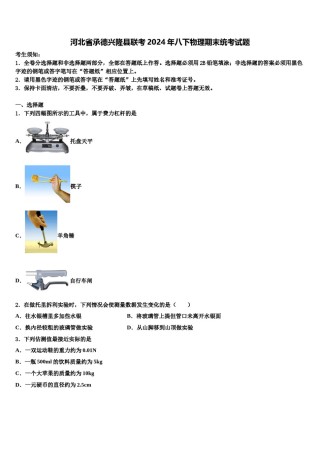 河北省承德兴隆县联考2024年八下物理期末统考试题含解析.doc