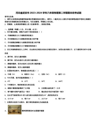 河北省武安市2023-2024学年八年级物理第二学期期末统考试题含解析.doc