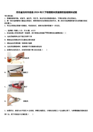 河北省沧州市青县2024年八下物理期末质量跟踪监视模拟试题含解析.doc