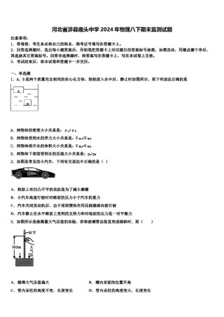 河北省涉县鹿头中学2024年物理八下期末监测试题含解析.doc