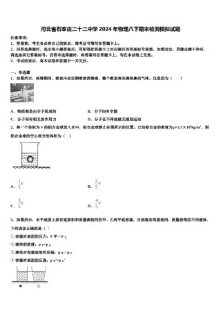 河北省石家庄二十二中学2024年物理八下期末检测模拟试题含解析.doc