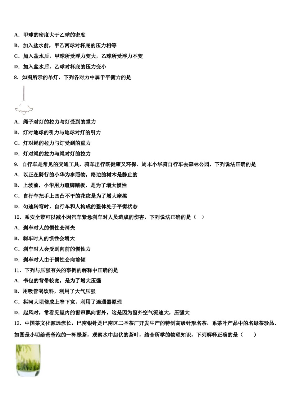 河北省石家庄市2024届物理八下期末联考模拟试题含解析.doc_第3页