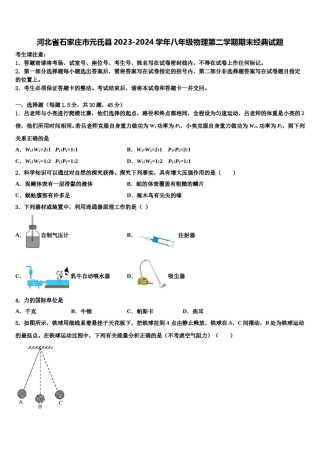河北省石家庄市元氏县2023-2024学年八年级物理第二学期期末经典试题含解析.doc