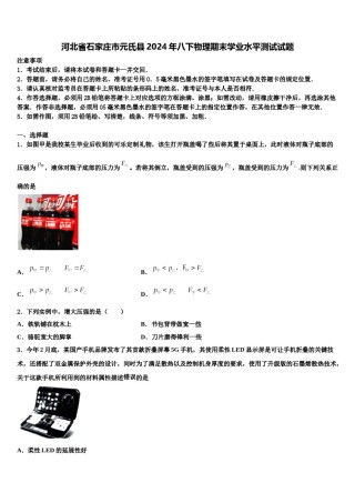 河北省石家庄市元氏县2024年八下物理期末学业水平测试试题含解析.doc