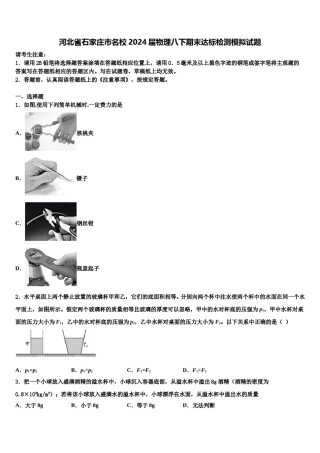河北省石家庄市名校2024届物理八下期末达标检测模拟试题含解析.doc