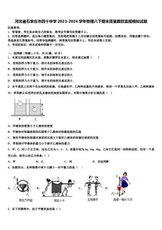 河北省石家庄市四十中学2023-2024学年物理八下期末质量跟踪监视模拟试题含解析.doc