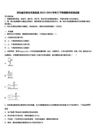河北省石家庄市高邑县2023-2024学年八下物理期末检测试题含解析.doc