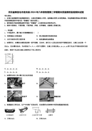 河北省秦皇岛市青龙县2024年八年级物理第二学期期末质量跟踪监视模拟试题含解析.doc