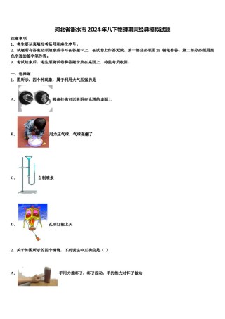 河北省衡水市2024年八下物理期末经典模拟试题含解析.doc