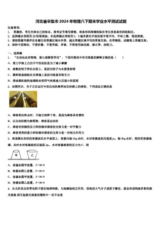 河北省辛集市2024年物理八下期末学业水平测试试题含解析.doc