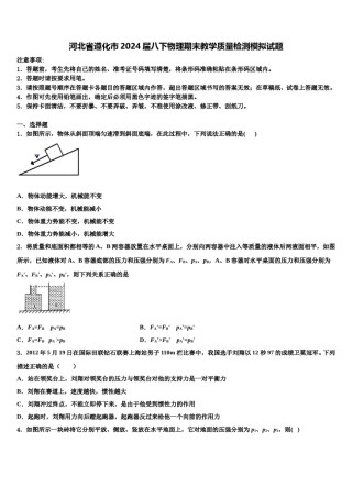 河北省遵化市2024届八下物理期末教学质量检测模拟试题含解析.doc