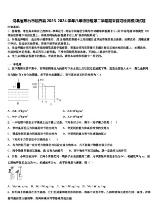 河北省邢台市临西县2023-2024学年八年级物理第二学期期末复习检测模拟试题含解析.doc
