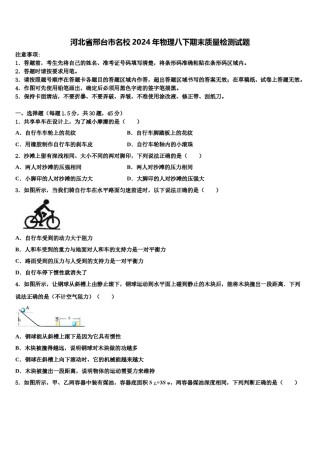 河北省邢台市名校2024年物理八下期末质量检测试题含解析.doc