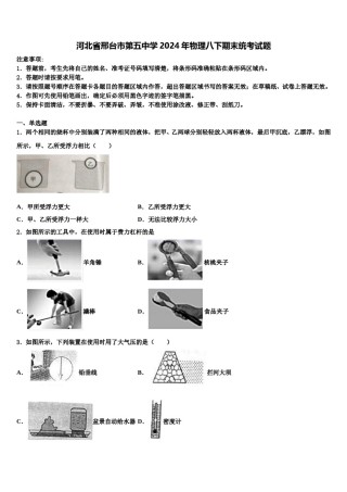 河北省邢台市第五中学2024年物理八下期末统考试题含解析.doc
