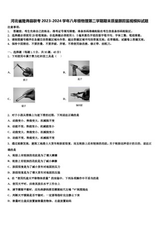 河北省隆尧县联考2023-2024学年八年级物理第二学期期末质量跟踪监视模拟试题含解析.doc