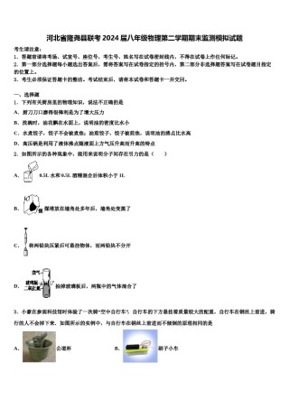 河北省隆尧县联考2024届八年级物理第二学期期末监测模拟试题含解析.doc