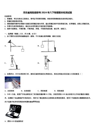 河北省高阳县联考2024年八下物理期末检测试题含解析.doc
