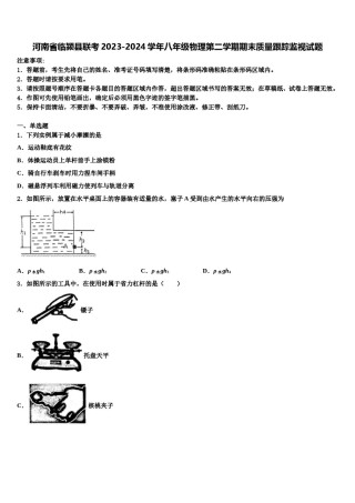 河南省临颍县联考2023-2024学年八年级物理第二学期期末质量跟踪监视试题含解析.doc