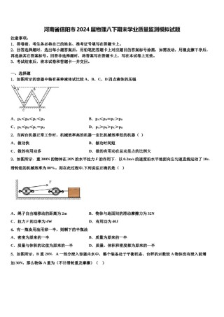 河南省信阳市2024届物理八下期末学业质量监测模拟试题含解析.doc