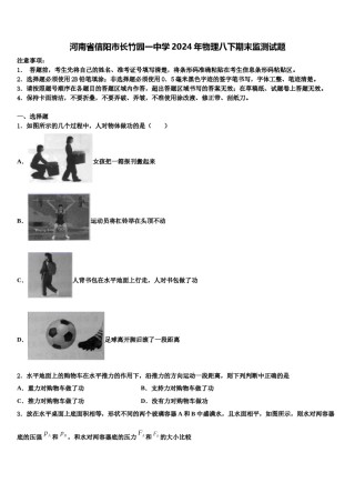 河南省信阳市长竹园一中学2024年物理八下期末监测试题含解析.doc