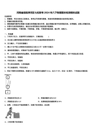 河南省信阳浉河区七校联考2024年八下物理期末检测模拟试题含解析.doc
