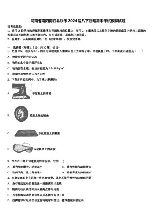 河南省南阳南召县联考2024届八下物理期末考试模拟试题含解析.doc