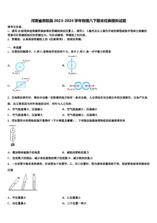 河南省原阳县2023-2024学年物理八下期末经典模拟试题含解析.doc