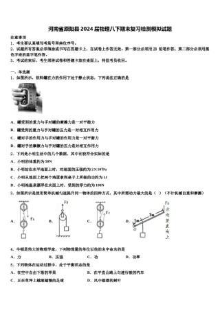 河南省原阳县2024届物理八下期末复习检测模拟试题含解析.doc