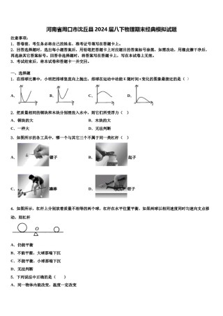 河南省周口市沈丘县2024届八下物理期末经典模拟试题含解析.doc