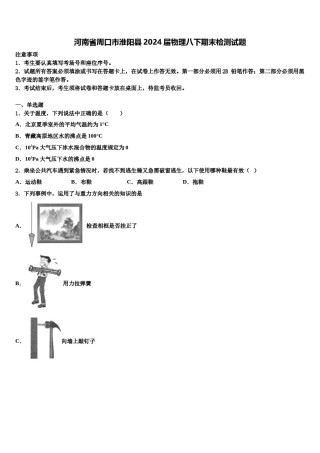 河南省周口市淮阳县2024届物理八下期末检测试题含解析.doc