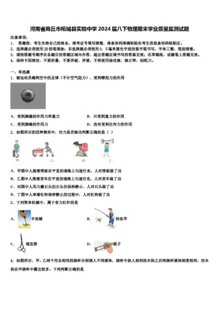 河南省商丘市柘城县实验中学2024届八下物理期末学业质量监测试题含解析.doc