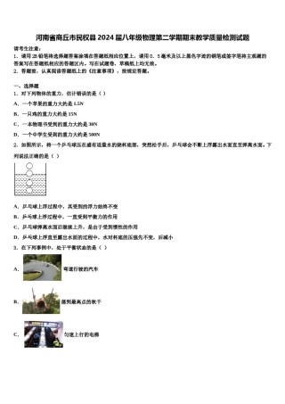 河南省商丘市民权县2024届八年级物理第二学期期末教学质量检测试题含解析.doc