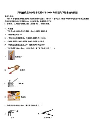 河南省商丘市永城市实验中学2024年物理八下期末统考试题含解析.doc
