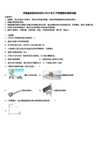 河南省安阳市林州市2024年八下物理期末调研试题含解析.doc