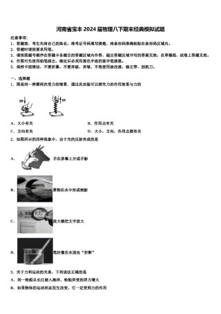 河南省宝丰2024届物理八下期末经典模拟试题含解析.doc