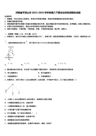 河南省平顶山市2023-2024学年物理八下期末达标检测模拟试题含解析.doc