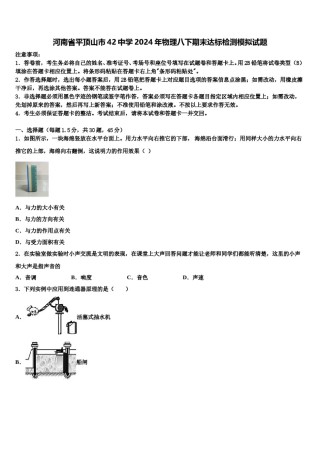 河南省平顶山市42中学2024年物理八下期末达标检测模拟试题含解析.doc