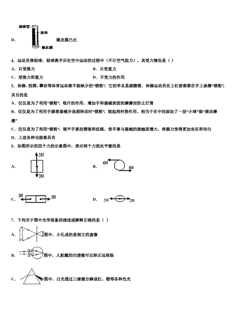 河南省平顶山市宝丰县2023-2024学年八年级物理第二学期期末复习检测试题含解析.doc_第2页