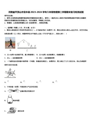 河南省平顶山市宝丰县2023-2024学年八年级物理第二学期期末复习检测试题含解析.doc